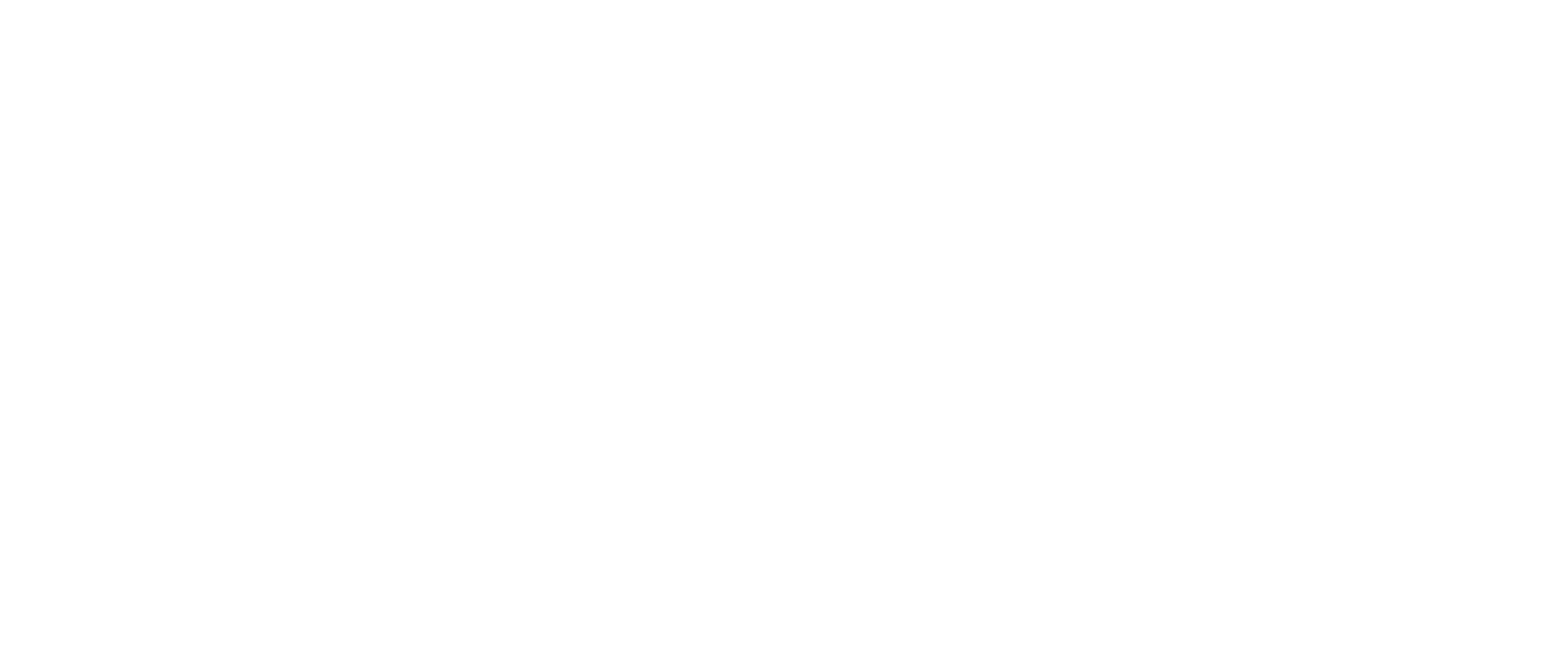 Boring Tees Logo